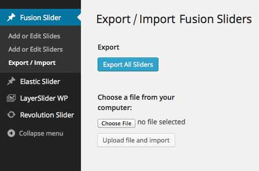 Export/Import Fusion Sliders interface screen. A man standing in front of some water